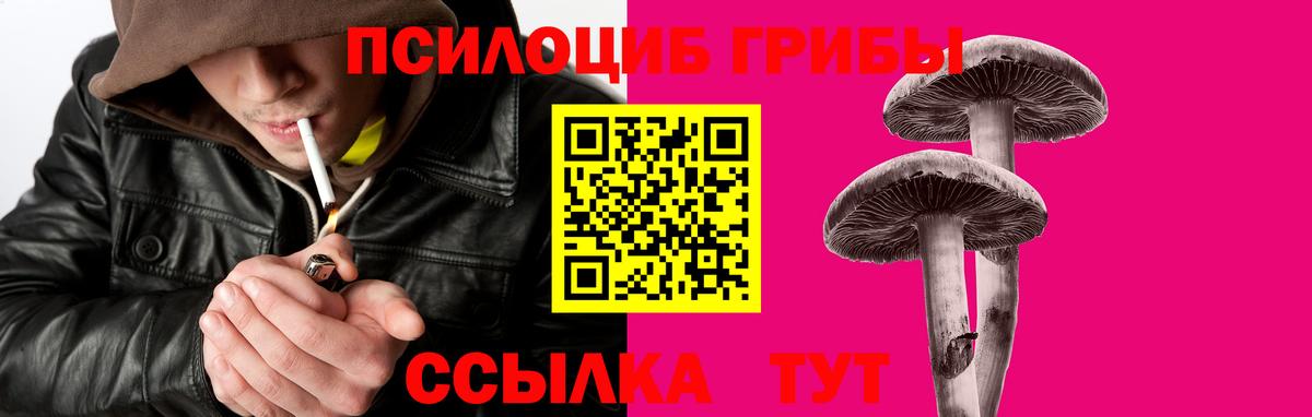 Галлюциногенные грибы Psilocybine cubensis Костомукша